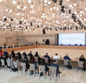 Состоялось второе заседание Оргкомитета по COP29