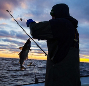 С 1 апреля запрещен промышленный лов рыбы во внутренних водных бассейнах