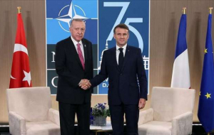 Turkish, French presidents discuss Israeli attacks on Palestine